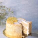 Coconut Cream Cake